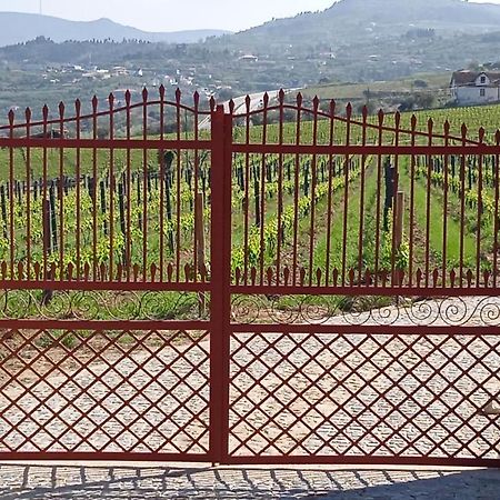 Vila Quinta Do Passadico Lamego Exteriér fotografie