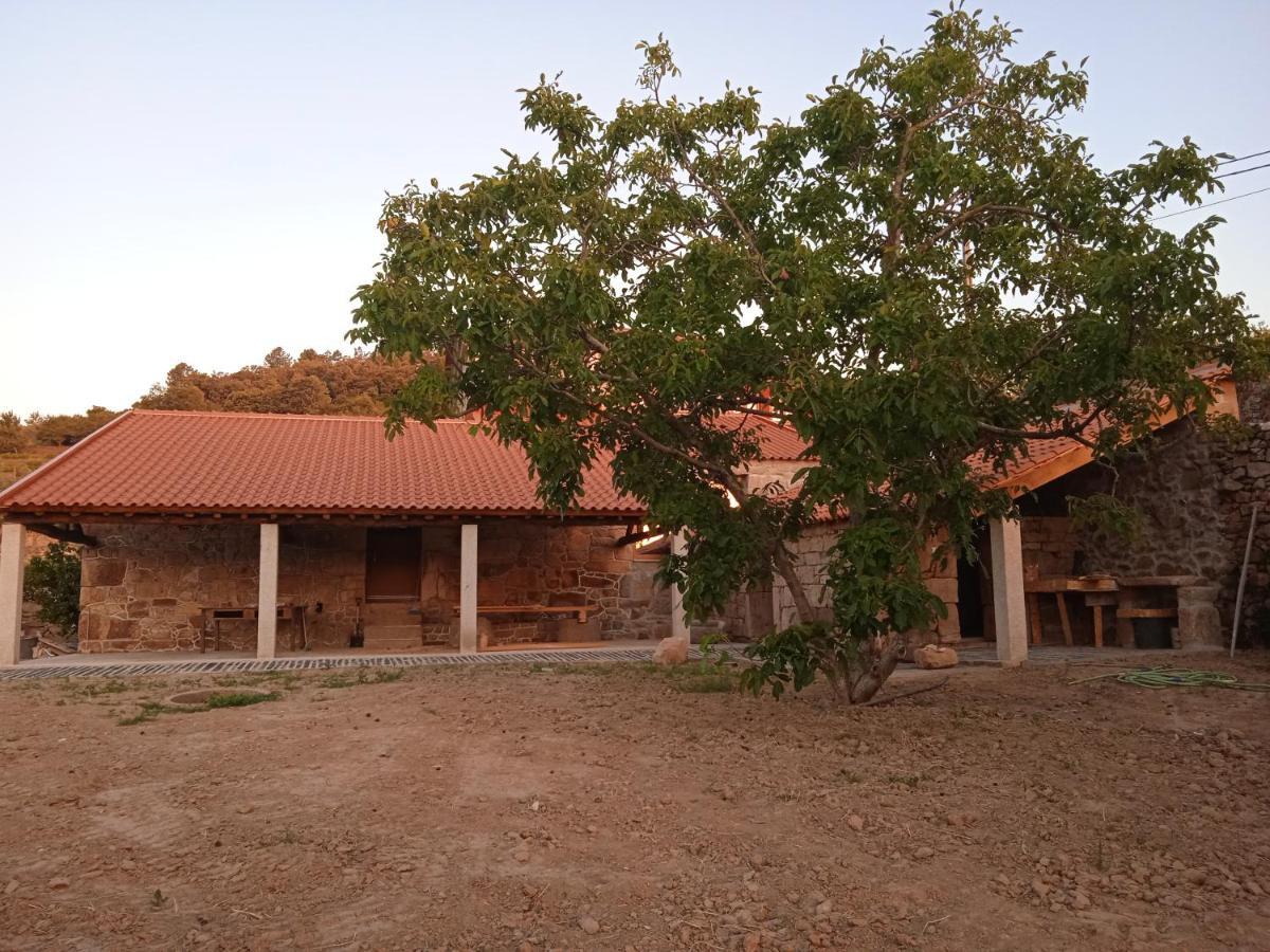 Vila Quinta Do Passadico Lamego Exteriér fotografie