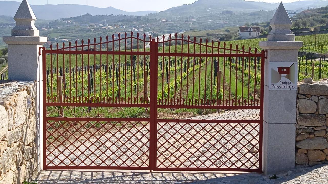 Vila Quinta Do Passadico Lamego Exteriér fotografie