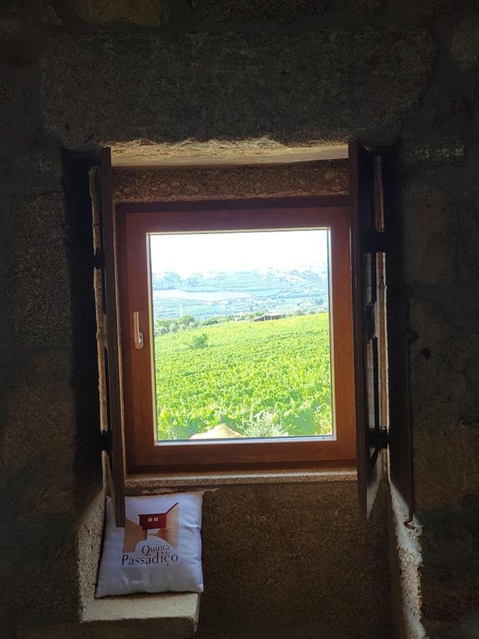 Vila Quinta Do Passadico Lamego Exteriér fotografie