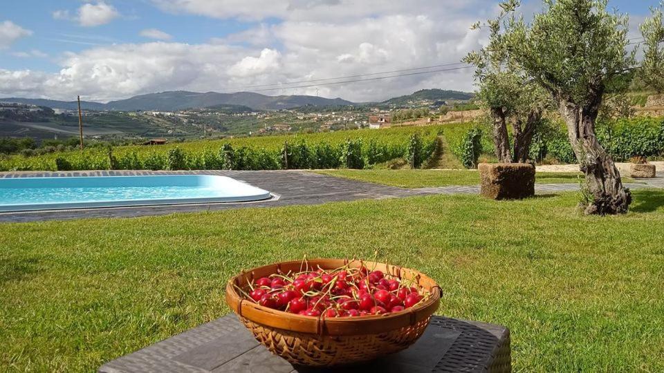 Vila Quinta Do Passadico Lamego Exteriér fotografie